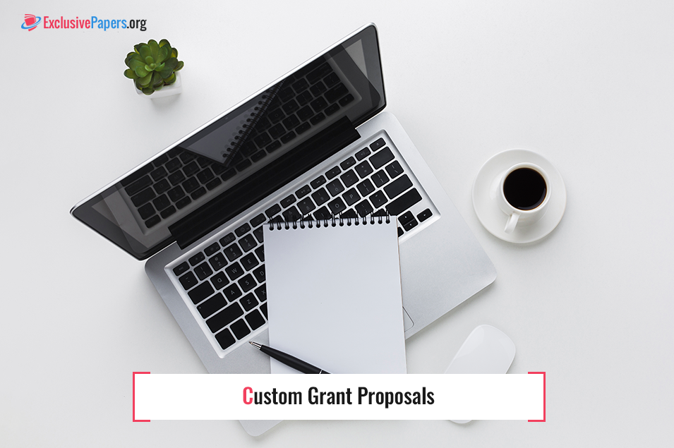 Order Custom Grant Proposals from Experts Online